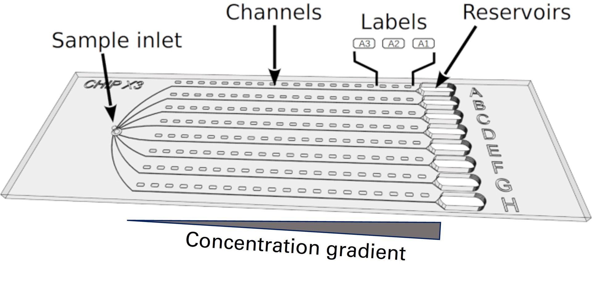 CrystalChip - Microfluidic chips for protein crystallization | IDYLLE