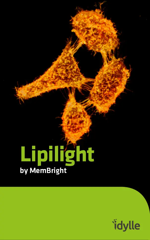 Lipilight cell membrane fluorescent probe