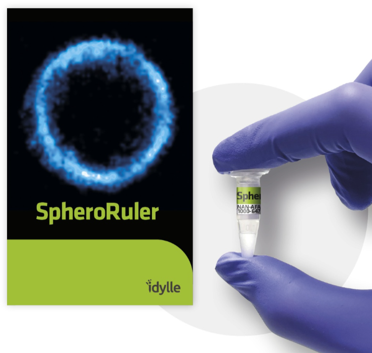SpheroRuler calibration beads for super resolution microscopy