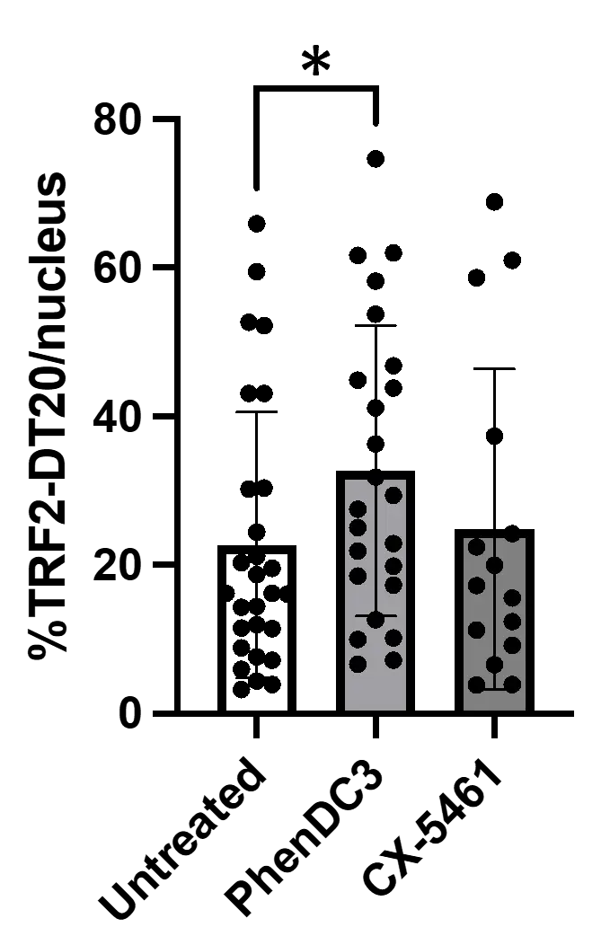 G4 ligand, quantification, G-quadruplexes, telomeres