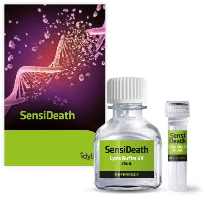 Sensideath