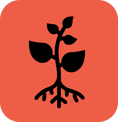 monolif, monolignol, live, imaging, fluorescent