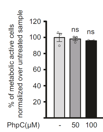 viability, phpc, hela, G-quadruplex
