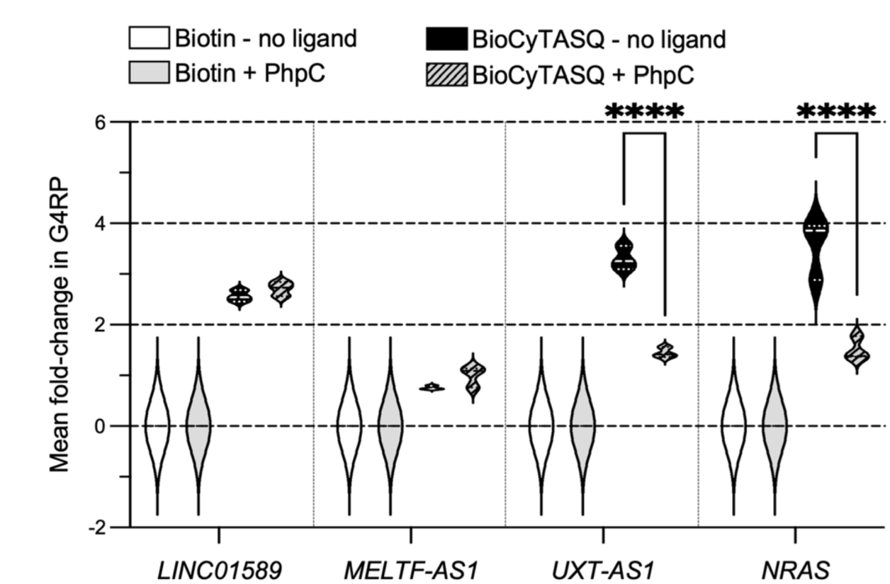 miRNA, qPCR, G-quadruplex