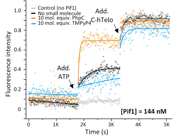 G-quadruplex, pif1, unfold, G-quadruplex, enzyme