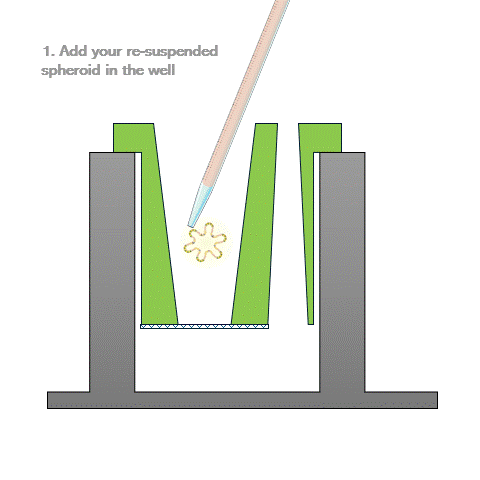 LabelEase - Labeling device for 3D cell structures