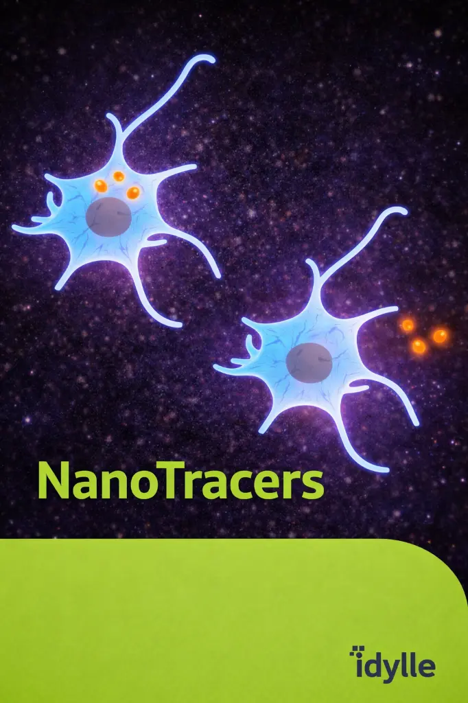 19 déc. 2025, 14_50_55.webp