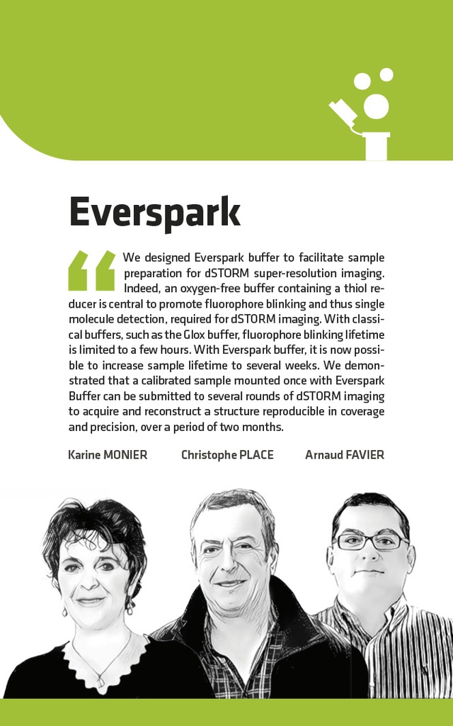 Everspark (kit de 5 exp.)