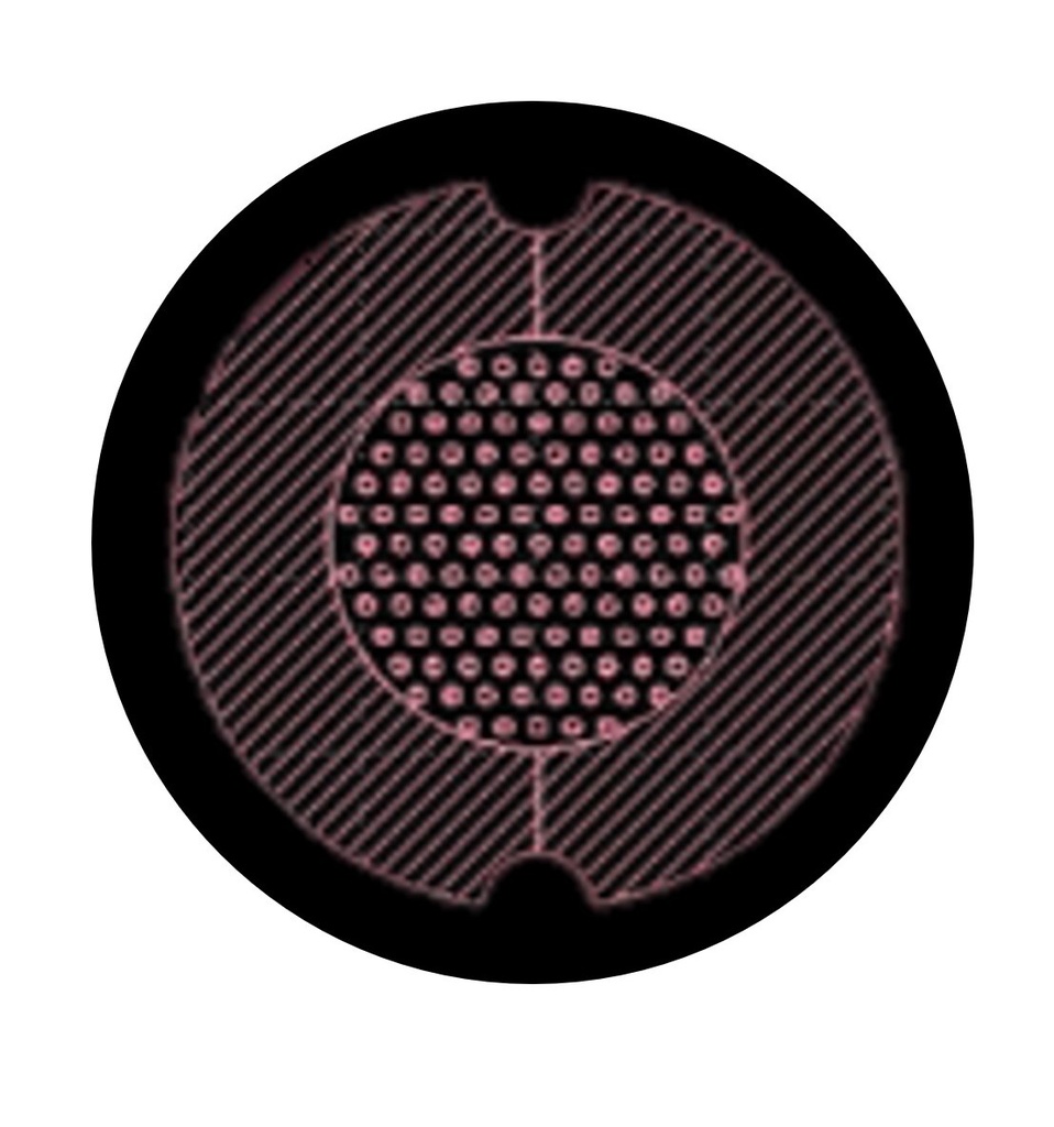 AgarSqueezer Silicium Wafer