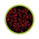 Luminicell Tracker™ - Cell Labelling Kit