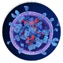 Small Extracellular Vesicles EVs