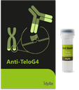 Anti-TeloG4 - Antibody against the telomeric G-quadruplex