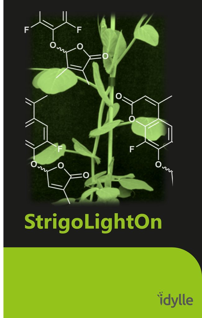 StrigoLightOn - Pro-fluorescent analogs of strigolactones