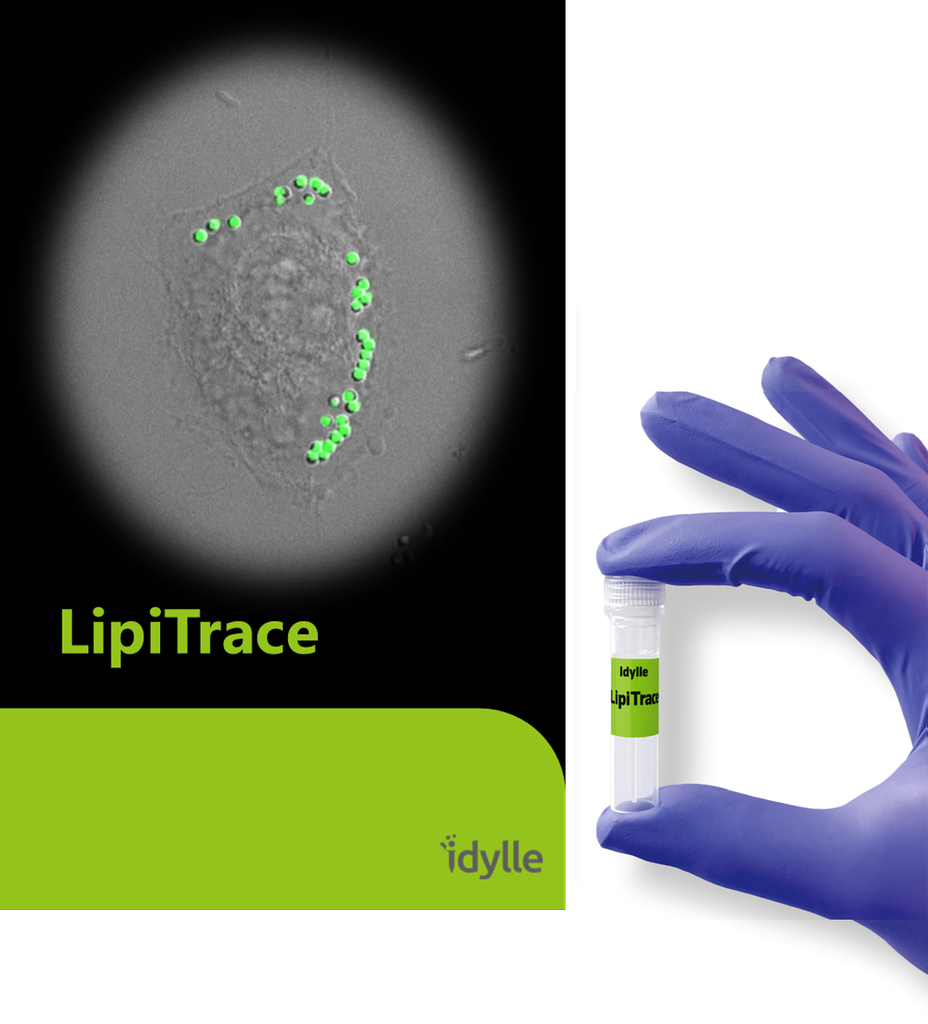 LipiTrace - Fluorescent marker for lipid droplets