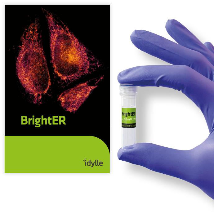 BrightER - Endoplasmic reticulum probe for live imaging & flow cytometry