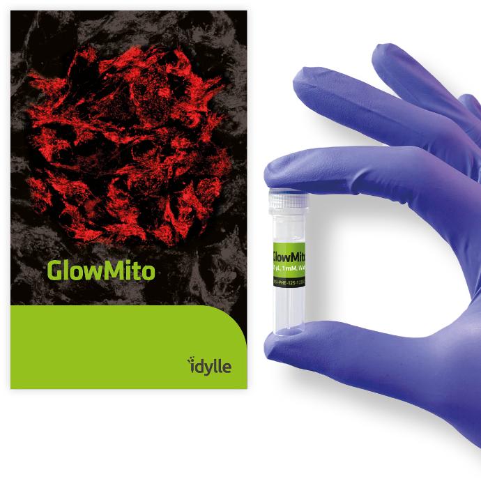 GlowMito - Red fluorescent mitochondrial tracker