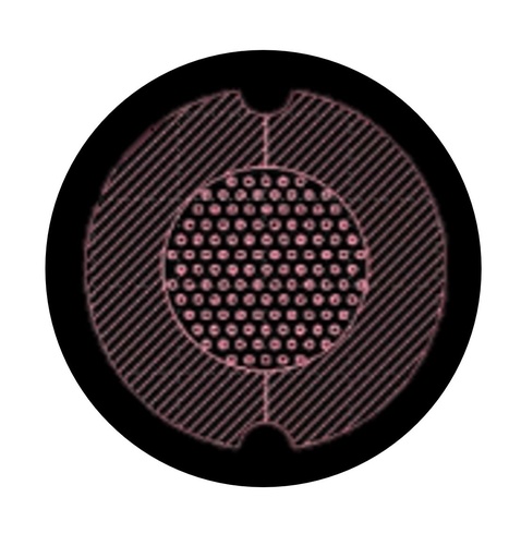 AgarSqueezer Silicium Wafer