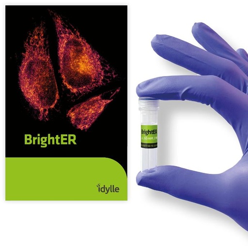 [RGA-RET] BrightER - Endoplasmic reticulum probe for live imaging & flow cytometry