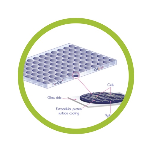Mecachips® - soft culture plates